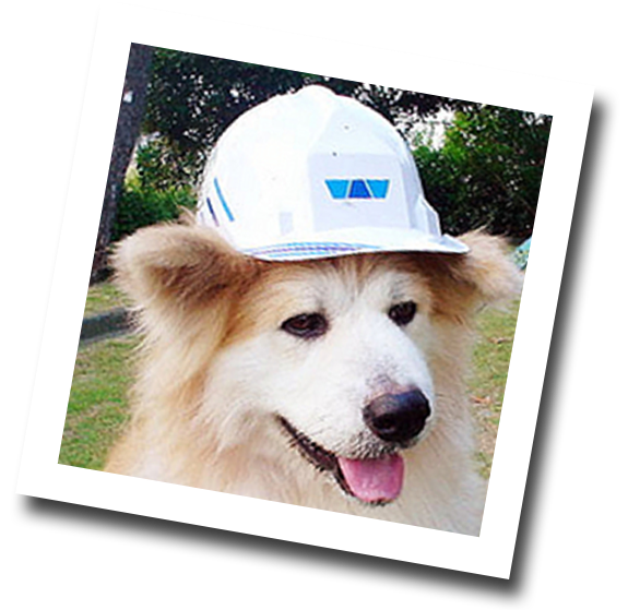 愛犬ムサシ